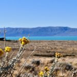 Proyecto Campo de Invierno – Sitio en El Calafate – Argentina Proyecto Campo de Invierno – Sitio en El Calafate – Argentina